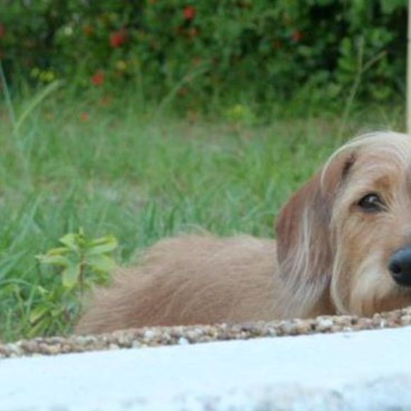 Meet your Posher, Deb - Picture 1 of 1